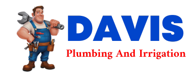 Trusted plumber in LEITER